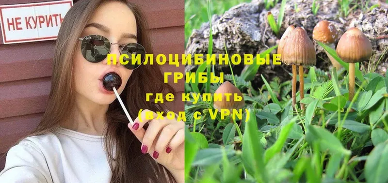 Где можно купить наркотики Кущёвская A-PVP  МЕФ  ГАШИШ  Cocaine 